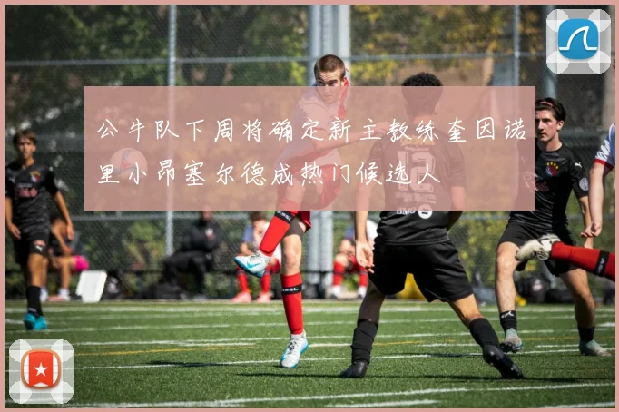 公牛队下周将确定新主教练奎因诺里小昂塞尔德成热门候选人