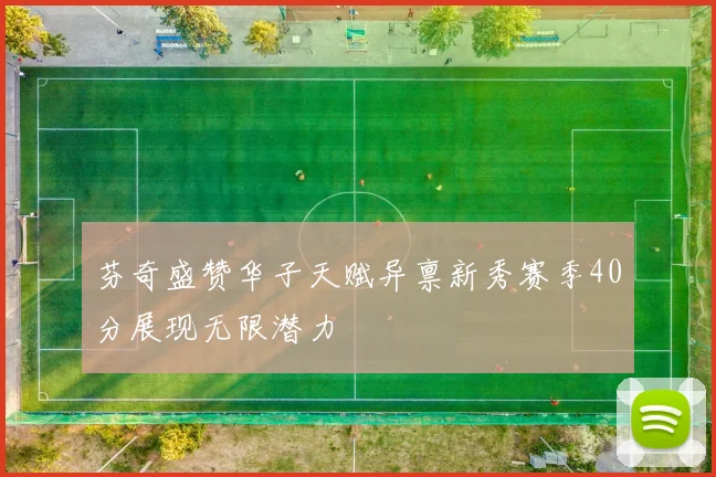 芬奇盛赞华子天赋异禀新秀赛季40分展现无限潜力
